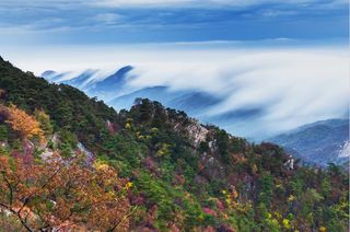 看绚彩林海，观云海奇石，重阳节带你赏尽蒙山绝美秋色！
