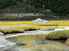 稻城亚丁-冲古草甸-稻城-enjoyzent