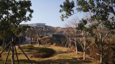 渔寮风景区-苍南-唏哩呼噜小猪猪