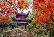 岳麓山景点图片