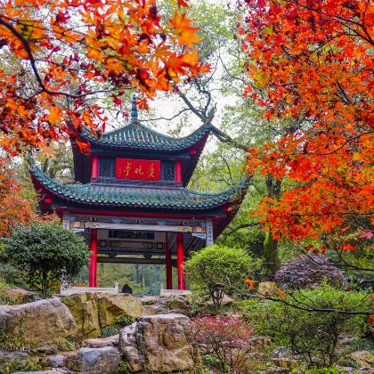 湖南长沙+岳阳+衡山县+橘子洲景区+岳阳楼景区+南岳衡山风景名胜区5日4晚跟团游