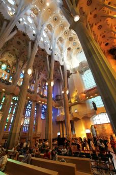 圣家族大教堂-巴塞罗那-翱翔的大鲨鱼