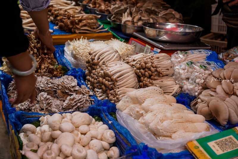 昆明旅游网