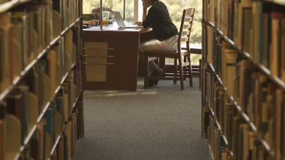 南佛羅裡達大學坦帕圖書館