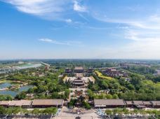 洪洞大槐树寻根祭祖园-洪洞-首席监理