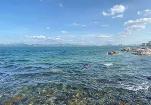 青岛崂山，海与茶园