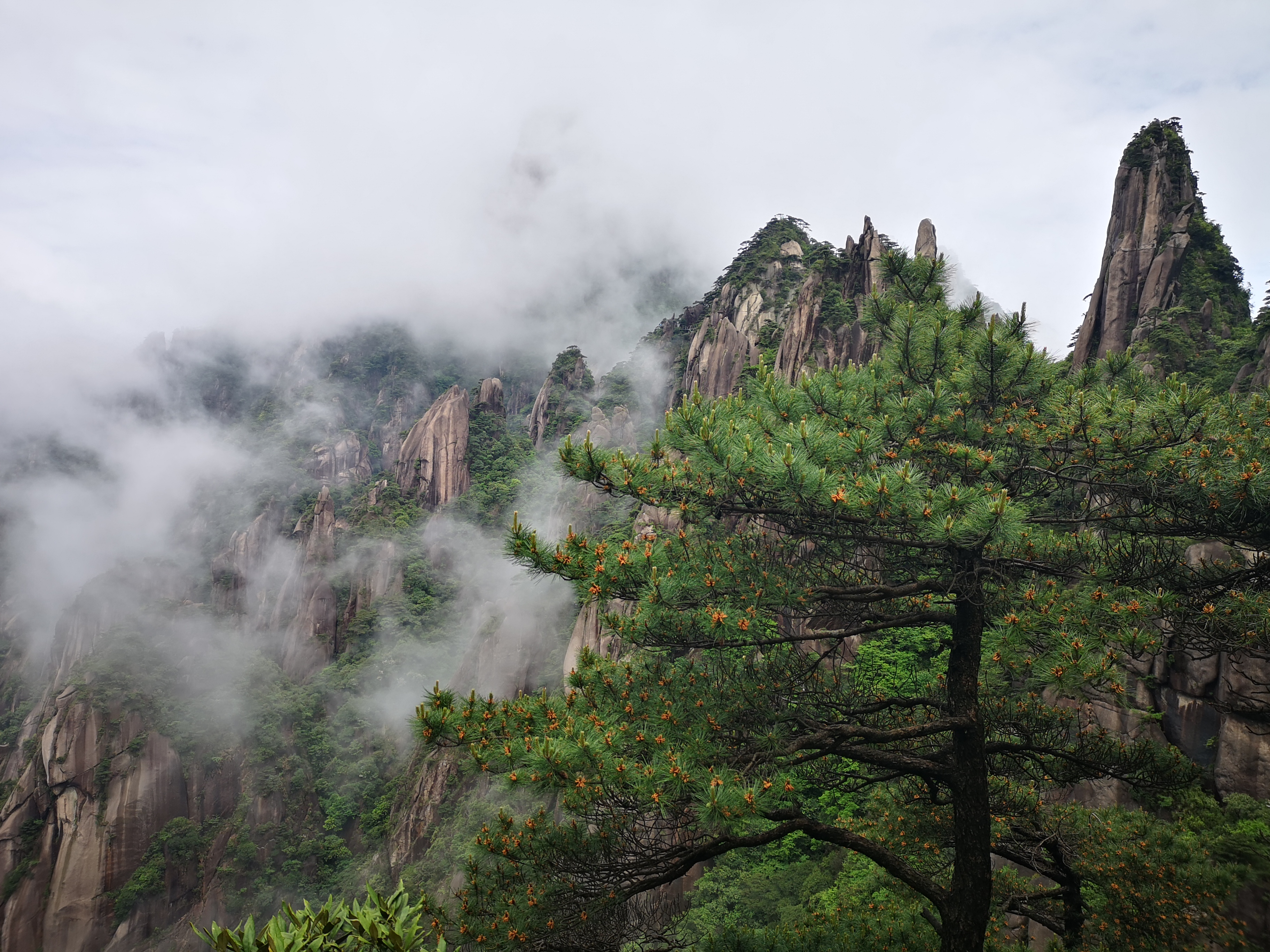 黄山访松、三清拜道、庐山寻瀑、九华礼佛--黄山、三清山、庐山、九华山