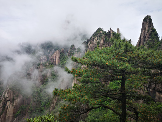 黄山访松、三清拜道、庐山寻瀑、九华礼佛--黄山、三清山、庐山、九华山二十一日游