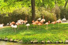 上海野生动物园-上海-木子1569