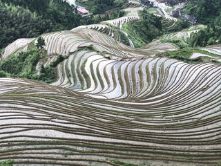 纵横西南（下）