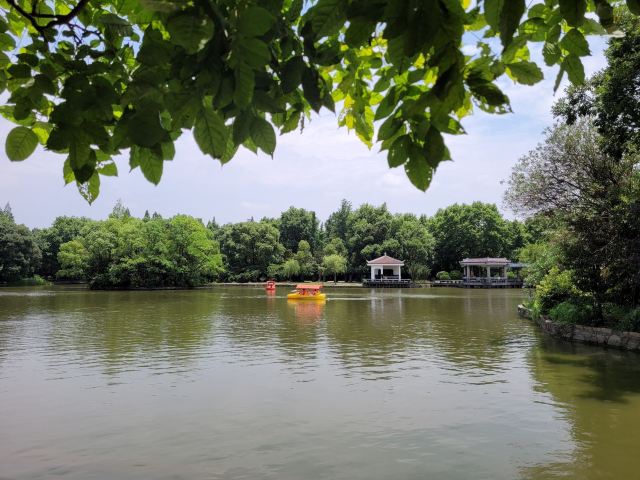 杨浦公园旅行图片 11