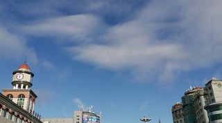 我己站在了鸡脑壳上（今夏东北避暑系列3）