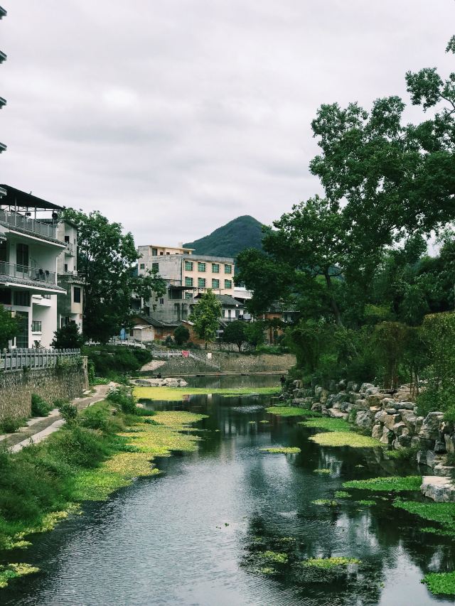 大圩古镇旅行图片 12