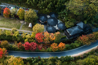 住进有萤火虫的森林，莫干山这家民宿千万别错过