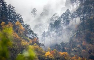 冰雪映彩林！这个冬日，汶川给你点颜色瞧瞧！