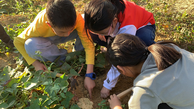 惠州惠城区周末出游推荐果盛生态园