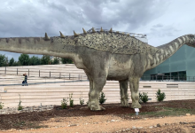 Museum de Paleontologia de Castilla-La Mancha景点图片