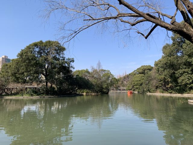 杨浦公园旅行图片 1