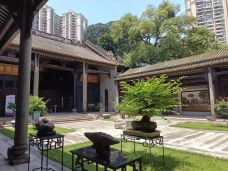 邓世昌纪念馆-广州-大松树叶子