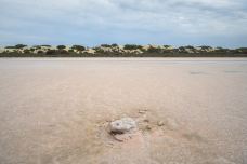 麦克唐纳尔湖-皮农