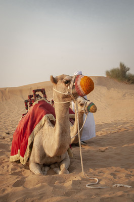 迪拜冒险之旅，适合追求刺激的你！