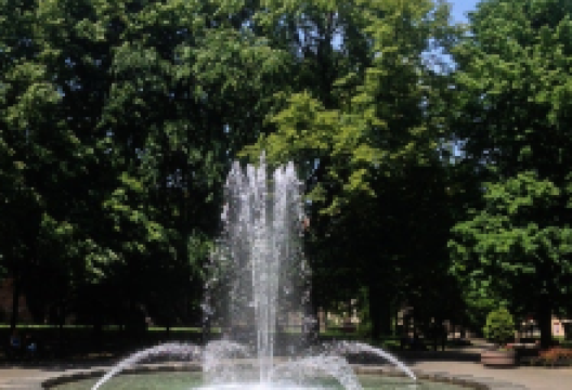 Plac Andrzeja景点图片
