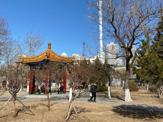 中山公园