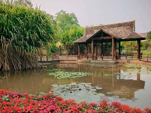中国科学院西双版纳热带植物园-藤本园站