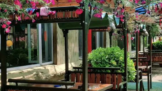 南林小院