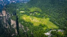 袁家界景区-张家界