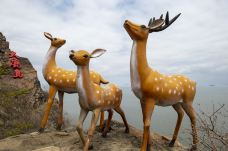 大鹿岛风景区-东港