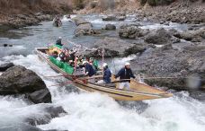 龟冈市-翱翔的大鲨鱼