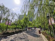 福州西湖公园-福州-风中苇舞