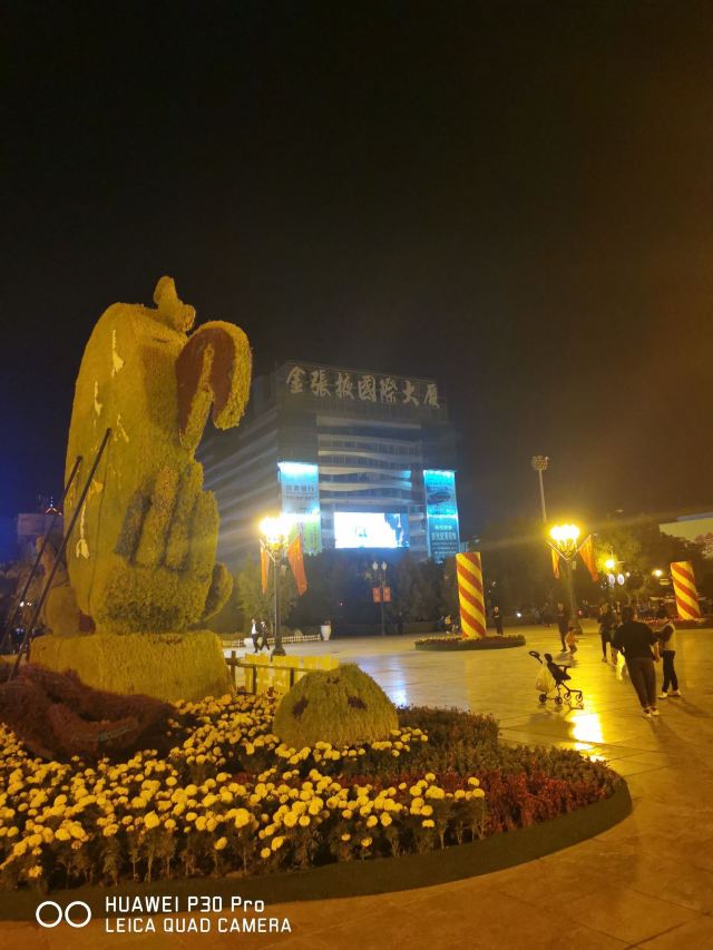 木塔寺旅行图片 2
