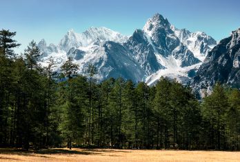 丽江玉龙雪山+云杉坪+蓝月谷一日游【8人小团+大氧气+接送】【6-8人精品小团，赠送大瓶氧气】