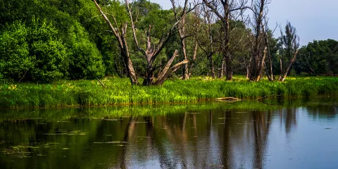 宜興竹海風景區-鏡湖