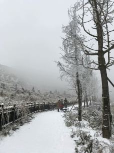 阳宝山旅游度假区-贵定-肥肥熊