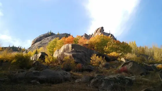 阿爾泰山溫泉國家森林公園