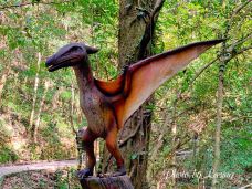 寨下大峡谷-泰宁-Leesing小歆