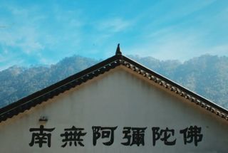 牛气冲天 如日中天 | 一燊集团2021年九华山祈福之旅