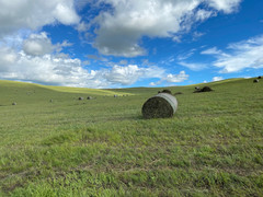 五大连池市游记图片] 森林，火山，草原，东北向南，行走的8月