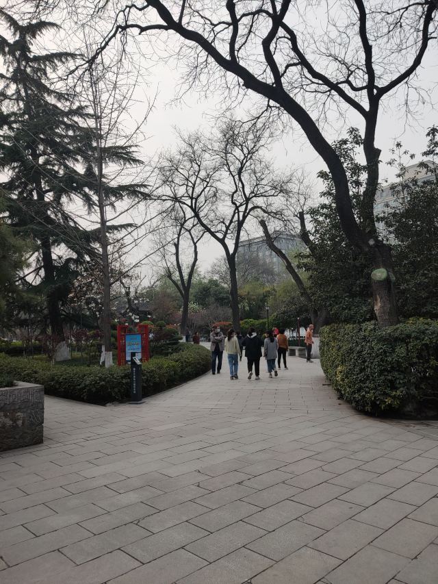 莲湖公园旅行图片 2