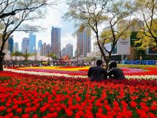 静安雕塑公园-上海-amydog