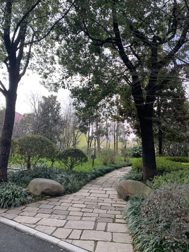 曲阳公园旅行图片 2