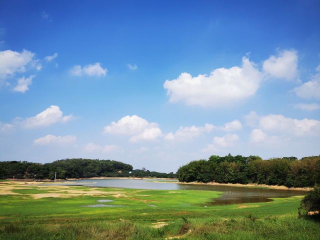 大屏嶂森林公园旅行图片 5