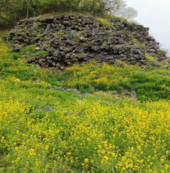仪征游记图片] 捺山地质公园，一次愉快的出游体验