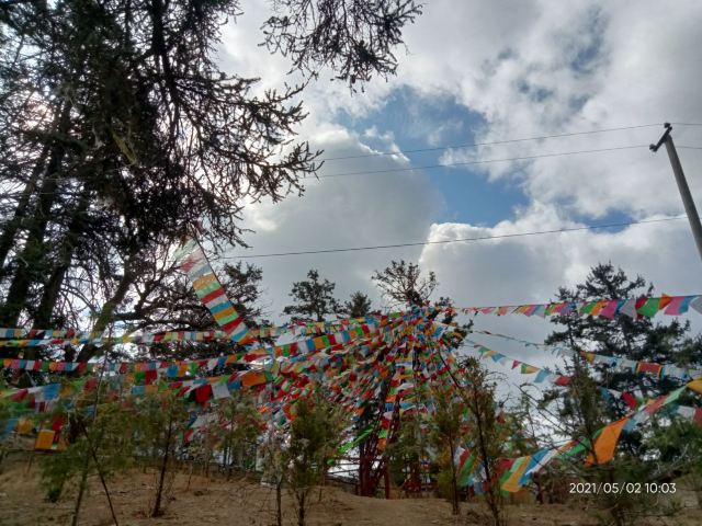 大宝寺旅行图片 5