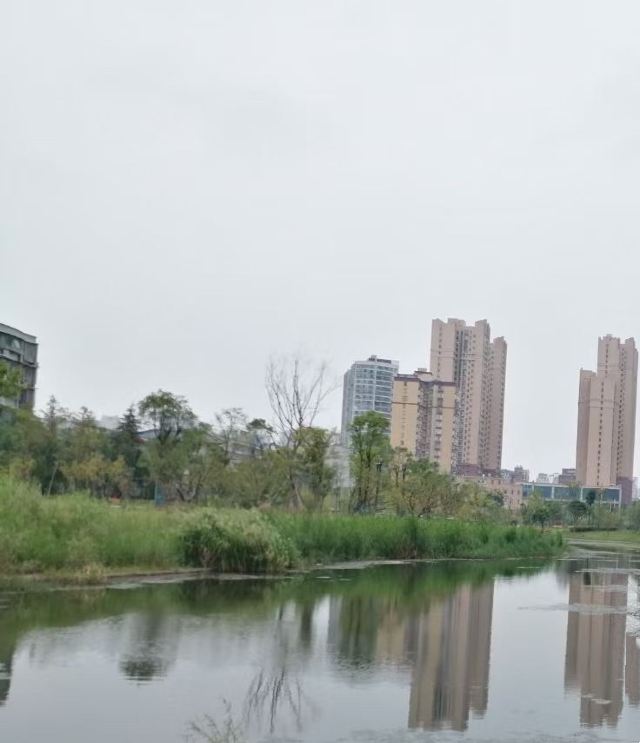 丁玲公园旅行图片 4