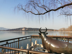 北京游记图片] 走过北京