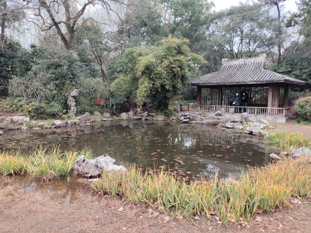 复兴岛公园旅行图片 5